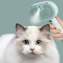 Deskela Twill Rechargeable Mist Grooming Comb